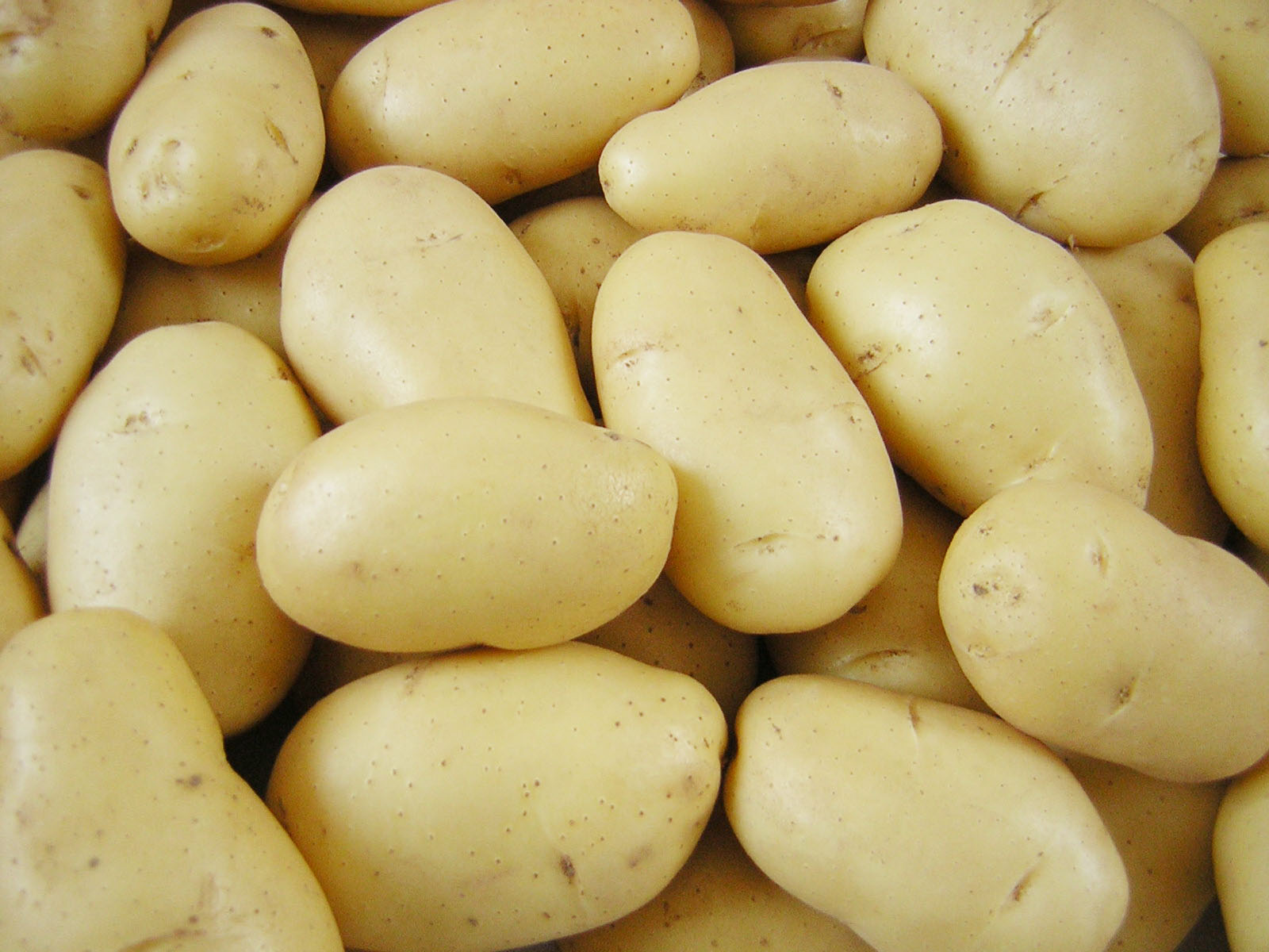 دام برس : وزارة الاقتصاد تدرس تصدير محصول البطاطا