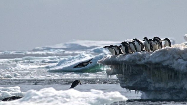 دام برس : تغير جذري مفاجئ في القطب الجنوبي يحير العلماء