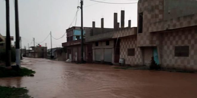 دام برس : أضرار مادية في المنازل والمزروعات جراء الأمطار الغزيرة في الكرك الشرقي بريف درعا