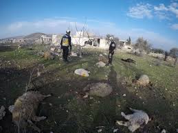 دام برس : قيادي بالقاعدة أم راعي أغنام ؟ تقارير تكشف هدف الغارة الأمريكية في إدلب