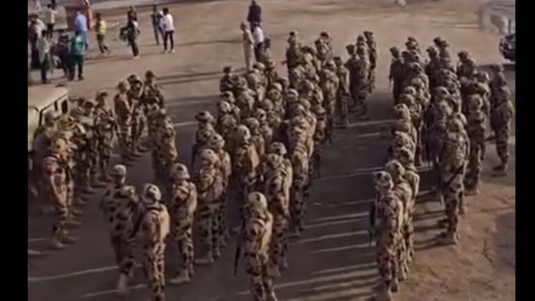 دام برس : دام برس | القوات الخاصة المصرية تنتشر في معبر رفح