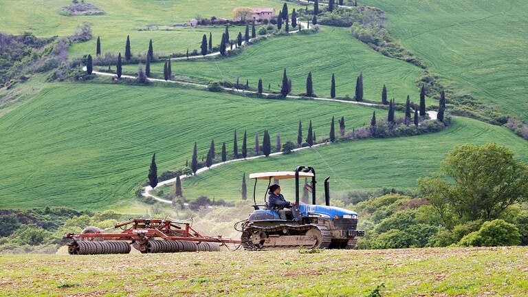 دام برس : نحو 100 ألف مؤسسة زراعية في إيطاليا مهددة بالإغلاق بسبب الأزمة في أوكرانيا