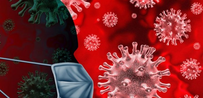دام برس : دام برس | العلماء يكتشفون “نقطة ضعف” فيروس كورونا