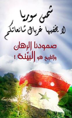 دام برس : لا تنقلوا كل ما تقرؤوه .. ولو كان على صفحة من يضع صورة الرئيس الأسد .. بقلم: كمال فياض