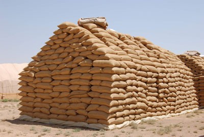 دام برس : تسويق 478229 طناً من القمح و 120254 أطنان من الشعير إلى مؤسستي تجارة وتصنيع الحبوب وإكثار البذار