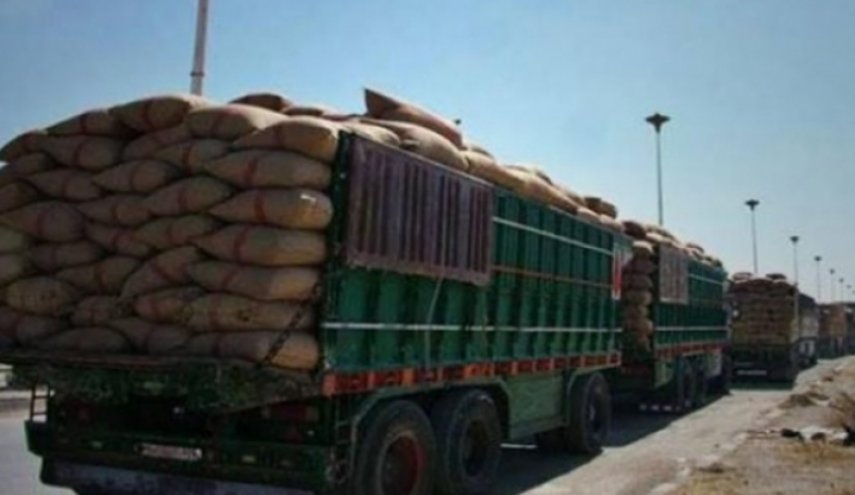 دام برس : الاحتلال الأمريكي يسرق حمولة 32 شاحنة من القمح من الجزيرة السورية إلى قواعده شمال العراق