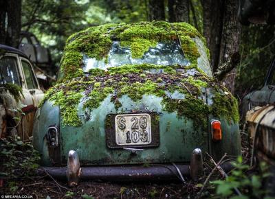 دام برس : اكتشاف مقبرة سيارات كلاسيكية في غابة سويدية