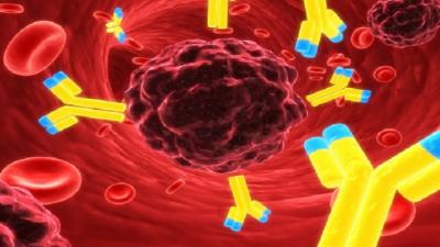 دام برس : علماء روس يتمكنون من اكتشاف فيروس يقضي على السرطان