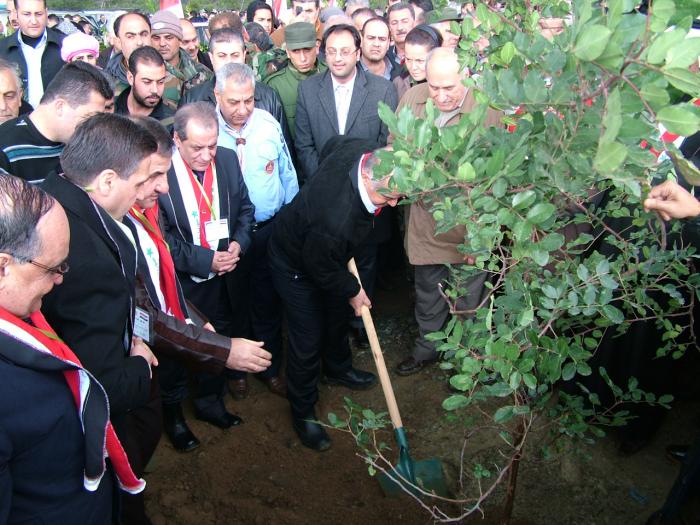 دام برس : في عيد الشجرة باللاذقية .. نداء لعدم السماح لطوفان الأسمنت أن يكتسح أشجارنا وأراضينا