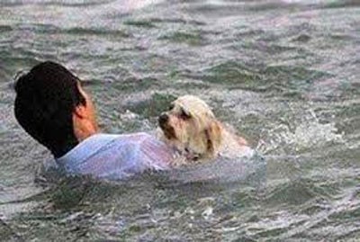 دام برس : دام برس | مصرع مرشح سابق لمجلس الشعب المصري وابنه وجاره في النيل حاولوا إنقاذ كلب