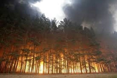 دام برس : دام برس | الحرائق ستزداد في روسيا بسبب الاحتباس الحراري