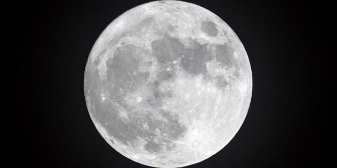 دام برس : دام برس | القمر الدودي العملاق يزين السماء وهو أول قمر عملاق تشهده مصر هذا العام