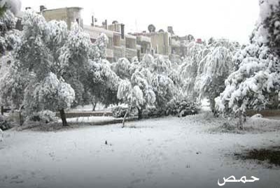 دام برس : الثلوج تتساقط فوق سورية و25 سم سماكتها في صلنفة وأمطار الخير تعم البلاد ودرجات الحرارة أدنى من معدلاتها