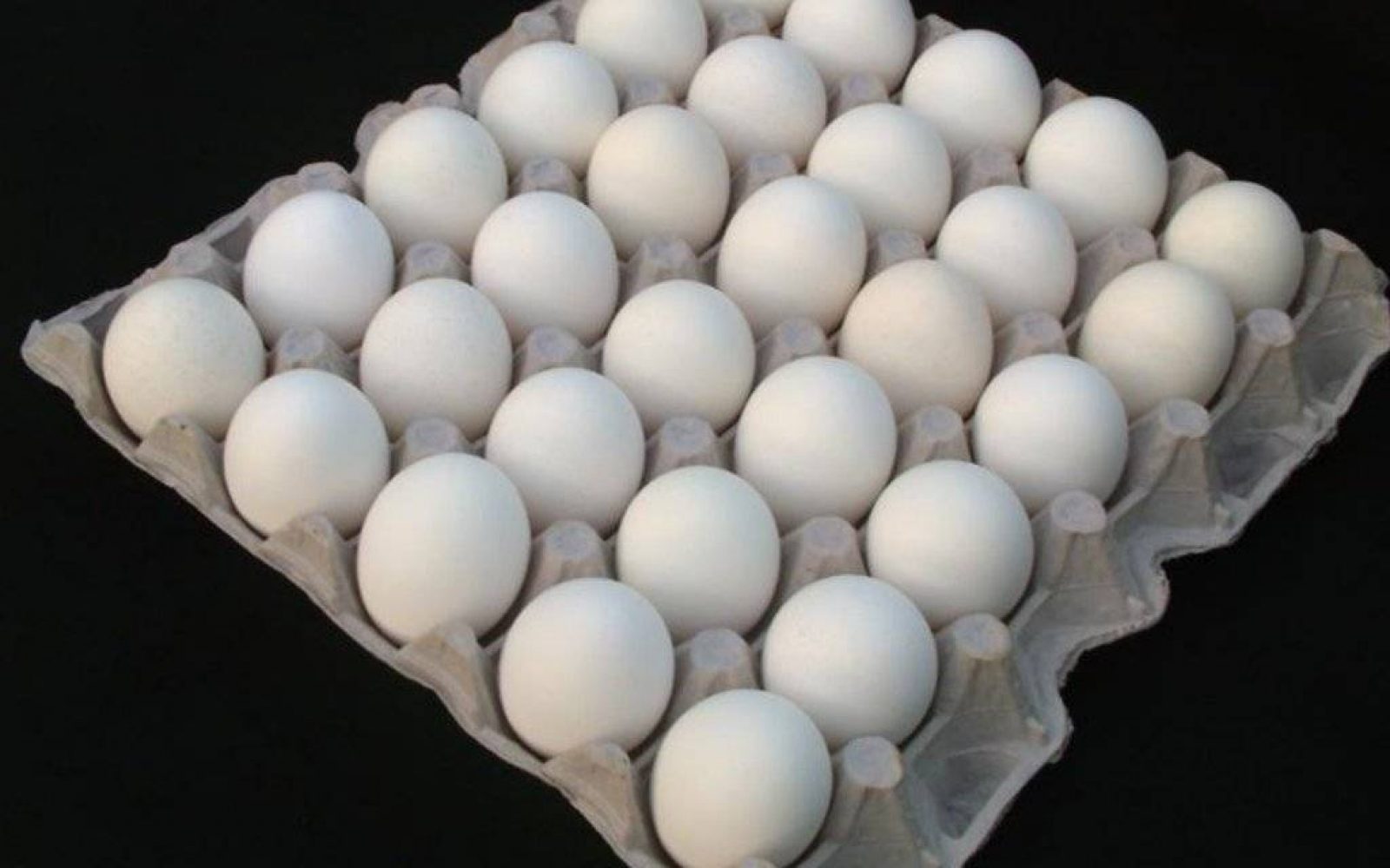 دام برس : دام برس | تحديد سعر مبيع صحن البيض بـ 30 ألف ليرة حتى نهاية الشهر الجاري .. والسبب ارتفاع درجات الحرارة