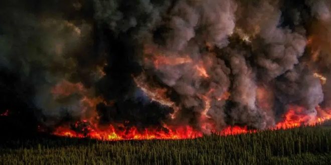 دام برس : دخان حرائق الغابات في كندا يمتد للولايات المتحدة ويتسبب  بحالات اختناق لـ 75 مليون شخص وتأجيل آلاف الرحلات الجوية وإلغاء المباريات