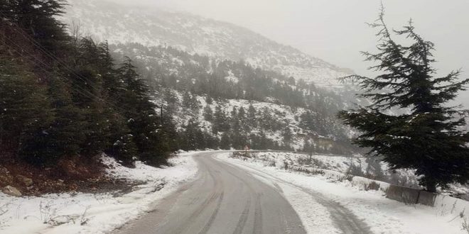 دام برس : دام برس | عدد من الطرق في المحافظات السورية غير سالكة بسبب تراكم الثلوج وتشكل الجليد