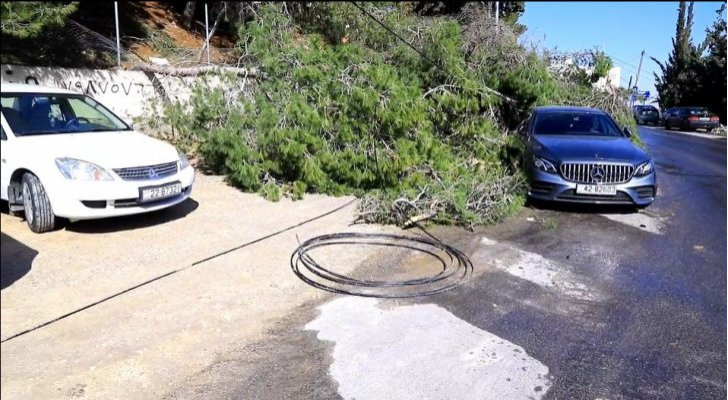 دام برس : دام برس |  مدير الحدائق في محافظة دمشق: سقوط 25 شجرة جراء العاصفة الهوائية وأضرار مادية للعدد من السيارات