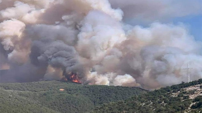 دام برس : دام برس | الحرائق تصل إلى بلدة البستان اللبنانية في جرود الهرمل