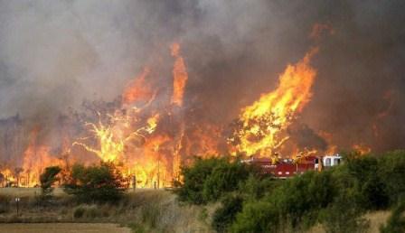 دام برس : دام برس | وزارة الزراعة تعلن السيطرة على كل الحرائق في اللاذقية وطرطوس وحمص